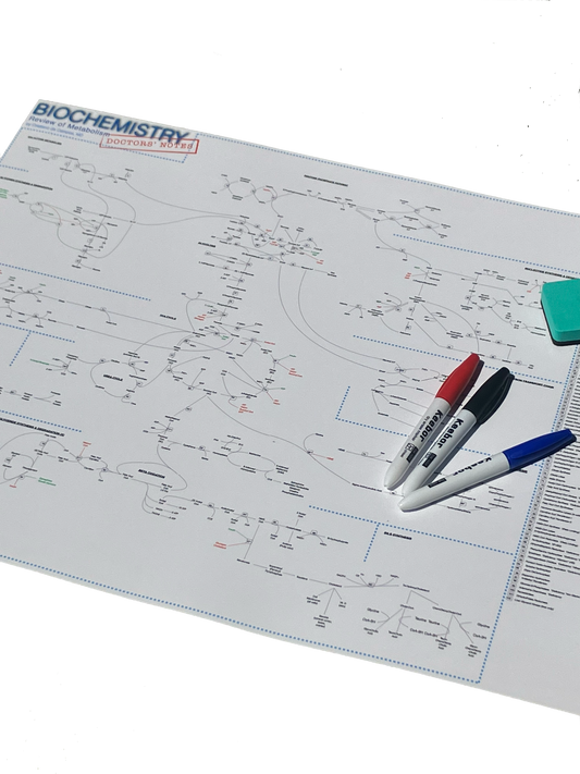 Biochemistry: Review of Metabolism (Medical Biochemistry Poster)